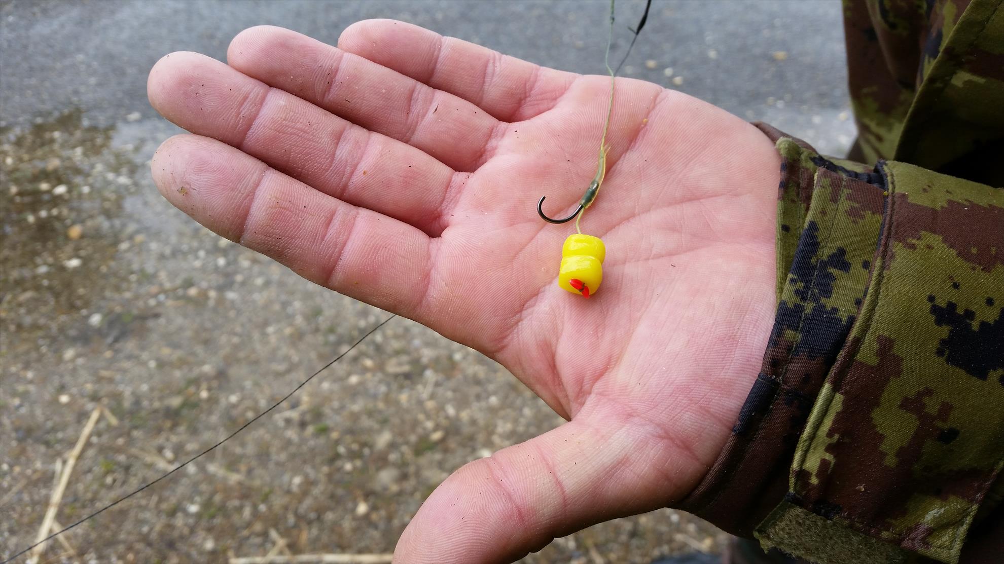 regiune Rhône-Alpes 11 mai 2016 - 20160511143559.jpg